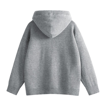 Casual Vintage  Hooded Half-Button Knit Sweater
